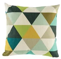 Cushion